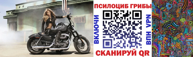 Галлюциногенные грибы Psilocybe  блэк спрут сайт  Сочи 
