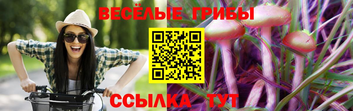 Галлюциногенные грибы Psilocybe  Псилоцибиновые грибы GOLDEN TEACHER  Вход с VPN  Сочи 